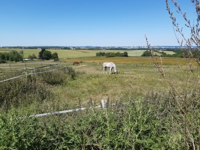 2020-05-30 depuis le Château du Faÿ.jpg