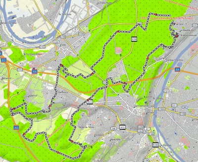 dimanche 21 2 Forêts par Chambourcy.jpg